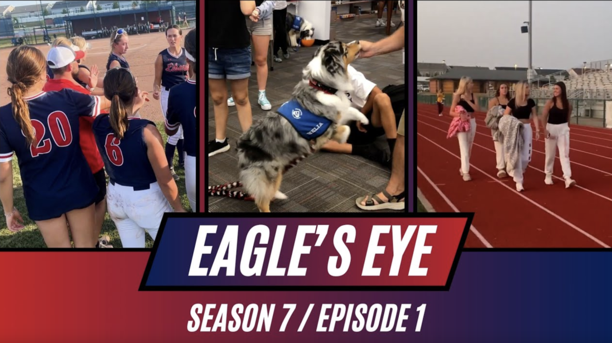 The Eagles Eye thumbnail which features all the features in the video.